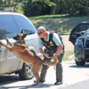 Upshur County Sheriff Department K-9 Officer
Marco and his partner, SGT Nusted Photos by
Theresa Olson